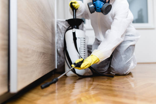 Best Local Pest Control Services  in West Sharyland, TX