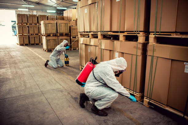 Best Emergency Pest Control  in West Sharyland, TX