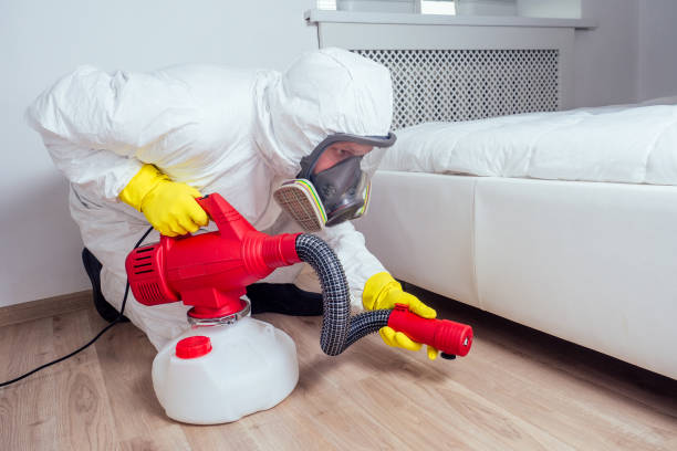 Best Flea Control Services  in West Sharyland, TX