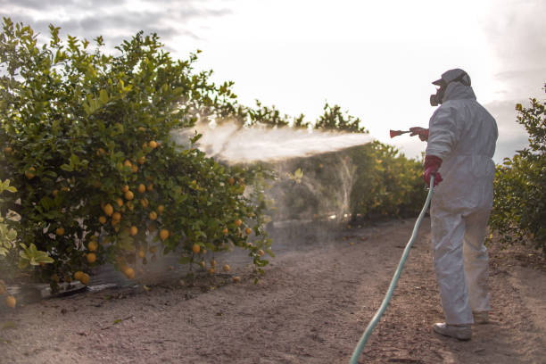 Professional Pest Control in West Sharyland, TX