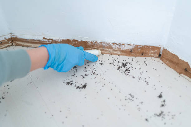 Best Commercial Pest Control Services  in West Sharyland, TX