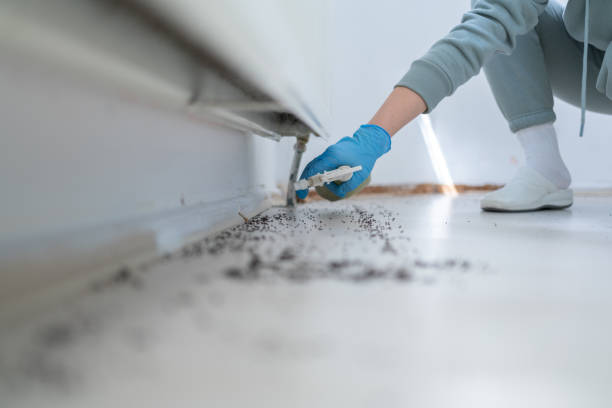 Best Rodent Control Near Me  in West Sharyland, TX