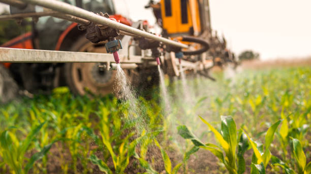 Best Ant Control Services  in West Sharyland, TX